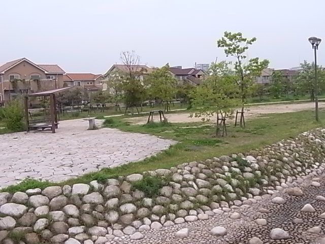 公園　親水中央公園（公園）まで499m