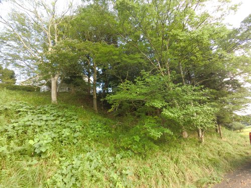 公園　石神緑地（公園）まで5104m