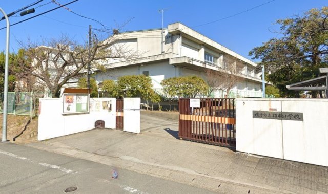 小学校　枚方市立招提小学校（小学校）まで567m