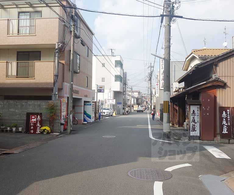 ドミトリー北斗のその他写真