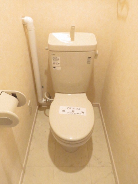 メゾン アヴェニュー アヌのトイレ写真