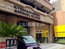 病院　京町堀動物病院（病院）まで4310m