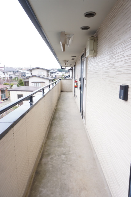 その他　共用通路です☆