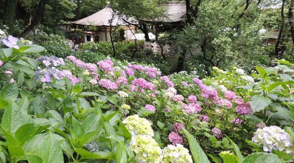 【川崎市多摩区長尾のマンションのその他】