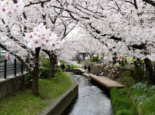 【川崎市多摩区長尾のマンションのその他】