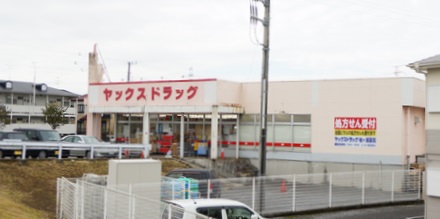 ドラックストア　ヤックスドラッグ　袖ヶ浦店（ドラッグストア）まで800m