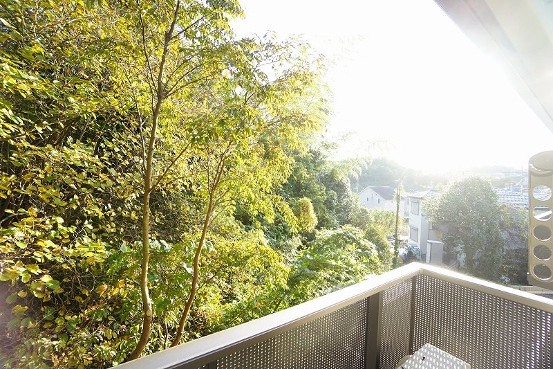 眺望　緑が目に優しい眺望です。