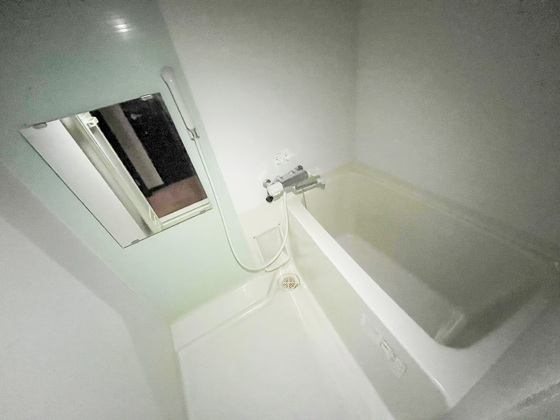 バス・シャワールーム　※別部屋の写真です