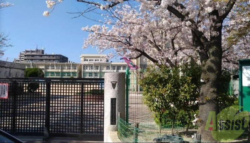 小学校　豊島小学校（小学校）まで601m