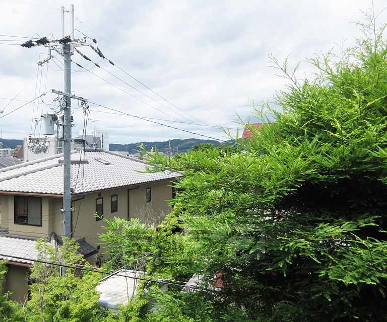 眺望　バルコニーからの眺め・