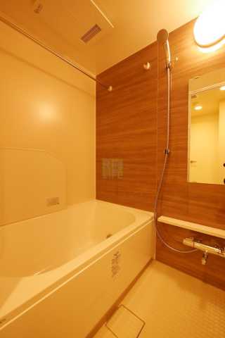 バス・シャワールーム　Brillia istの風呂