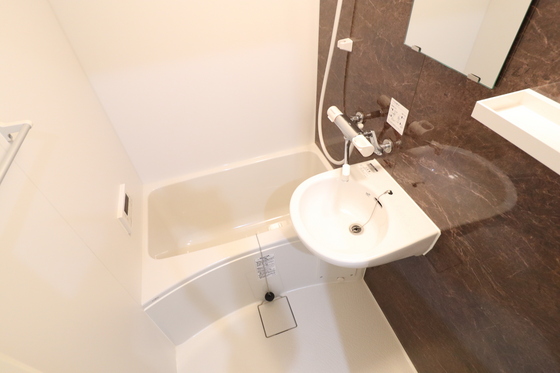 バス・シャワールーム　※別部屋の写真です