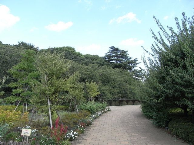 公園　哲学堂公園（公園）まで100m