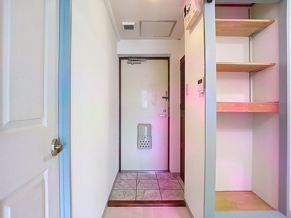 玄関　※同タイプの部屋写真です