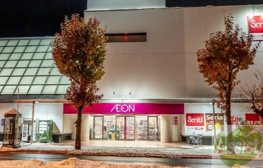 スーパー　イオン札幌平岸店（スーパー）まで522m