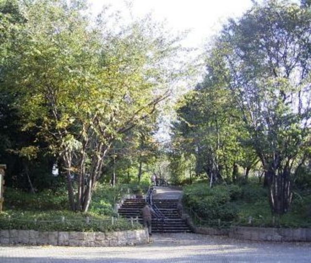 公園　羽根木公園（公園）まで732m