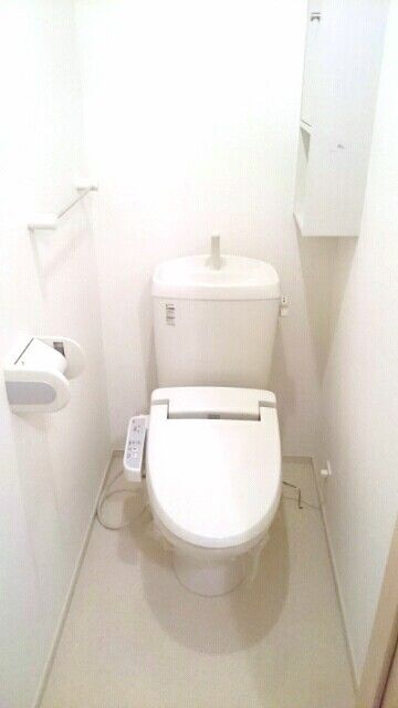 テラス三島町Aのトイレ写真