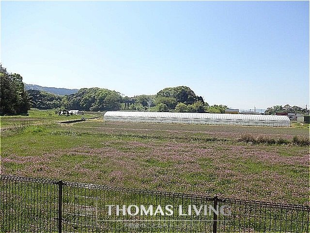 その他　長閑な田園風景