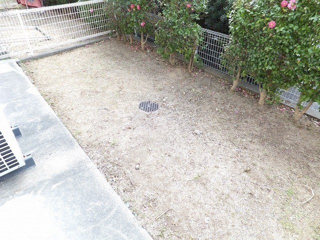 庭