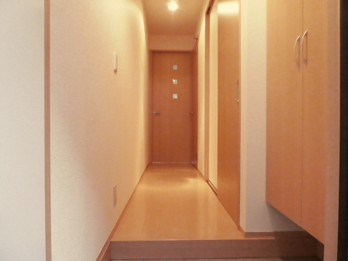ソレーユ東川口の玄関写真