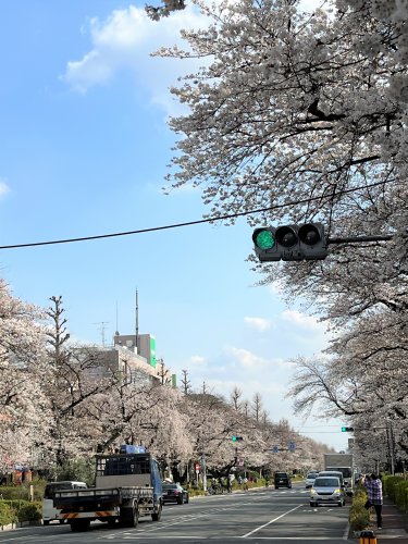 国立サンハイツの周辺写真