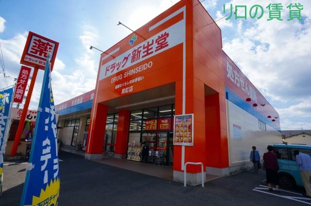 ドラックストア　ドラッグ新生堂 昇町店（ドラッグストア）まで310m