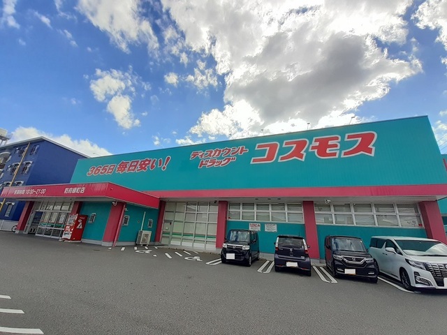 ドラックストア　ドラッグストアコスモス（ドラッグストア）まで1000m