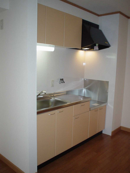 キッチン　キッチン　２口ガスコンロ設置可能です（＾ｖ＾）