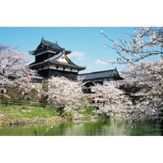 公園　大和郡山城跡公園（公園）まで1300m