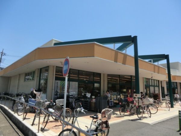 スーパー　タジマ田島まいすと店（スーパー）まで555m