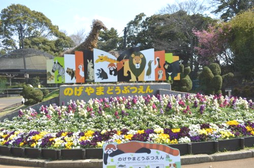 その他　横浜市立野毛山動物園（その他）まで556m