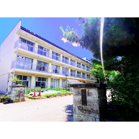 小学校　長野市立昭和小学校（小学校）まで737m