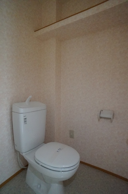 トイレ　※他号室のお写真です
