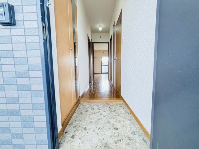 玄関　別号数タイプ