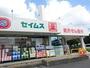 ドラックストア　ドラッグセイムス長浦店（ドラッグストア）まで754m