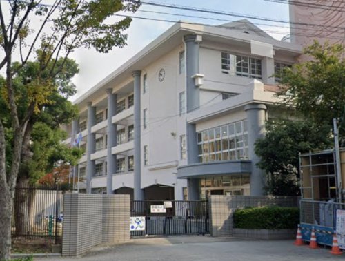 小学校　福岡市立警固小学校（小学校）まで274m