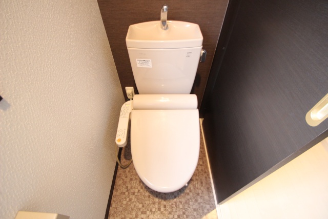 ダ・ヴィンチ吹上のトイレ写真