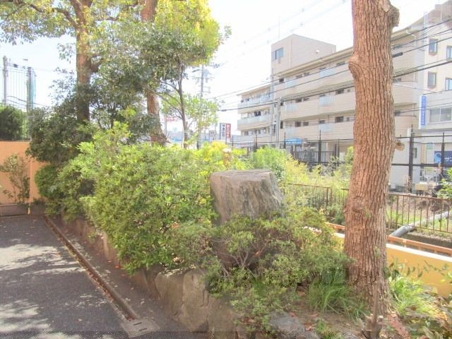 その他　植栽