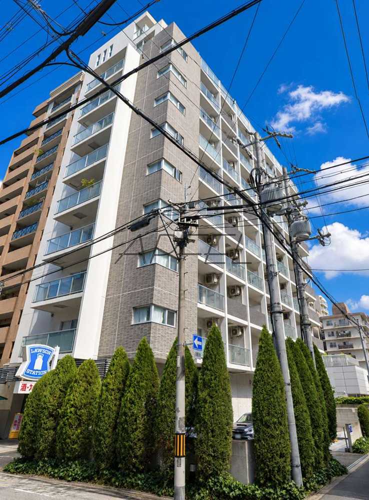 建物外観　シティヒルズ安堂寺