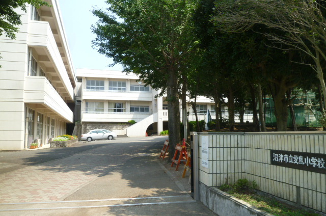 小学校　愛鷹小学校（小学校）まで3566m