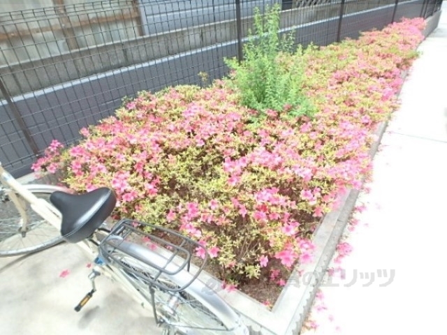 ロビー　ロビー