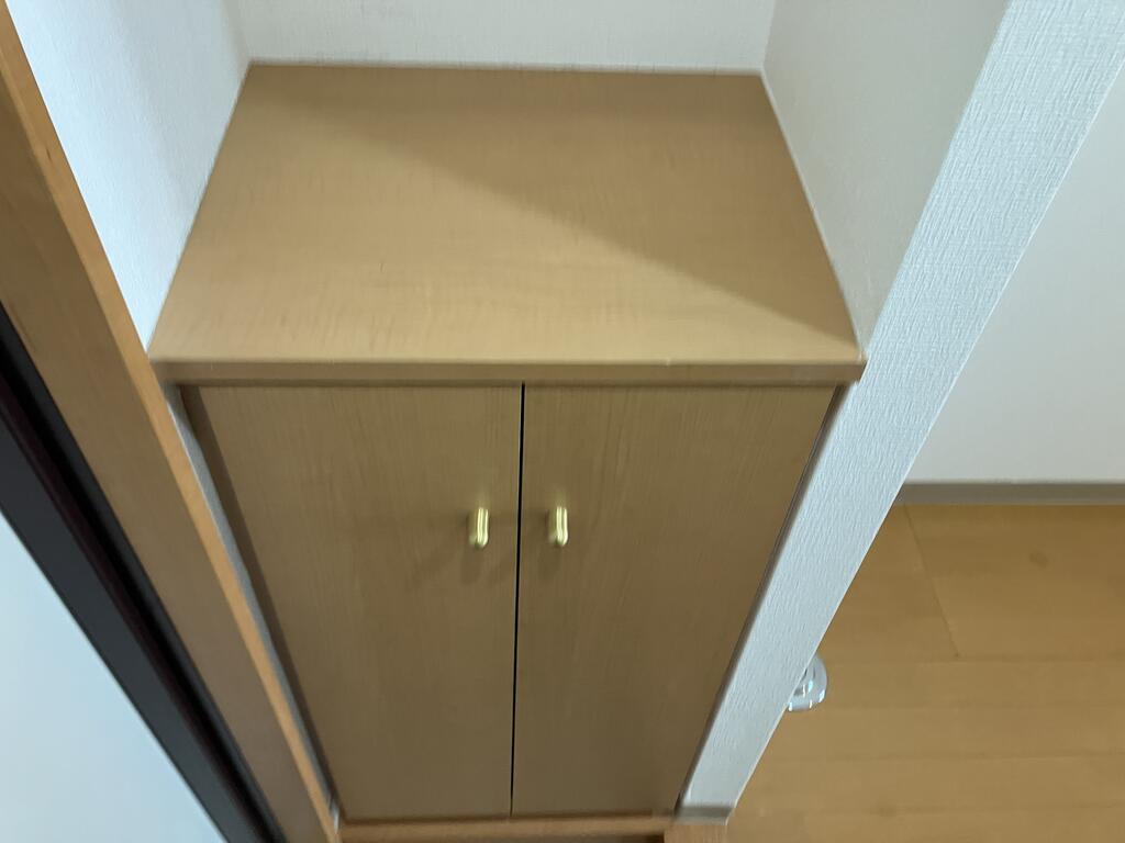 アドリーム21宮原マンションの玄関写真