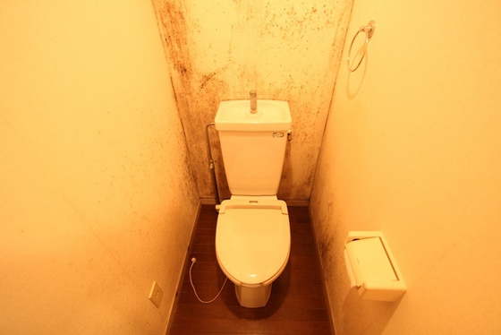 トイレ　※別部屋の写真です