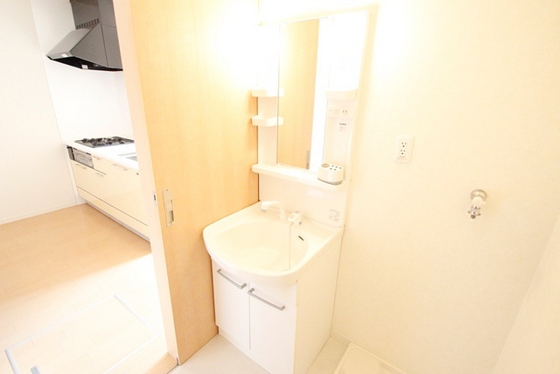 洗面設備　※別号室の写真です