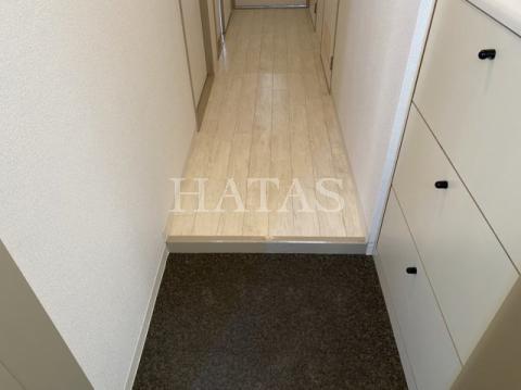 玄関　同物件別部屋です。
