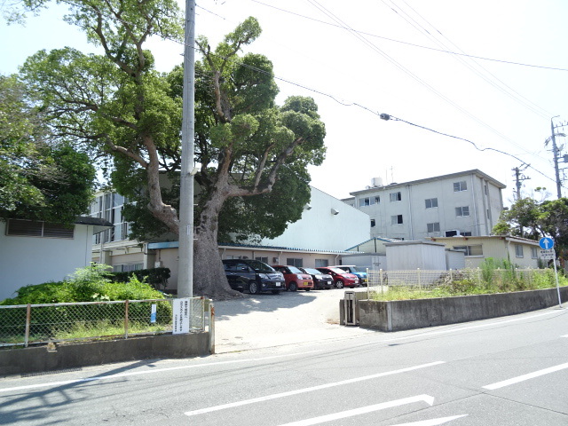 小学校　芳川小学校（小学校）まで191m