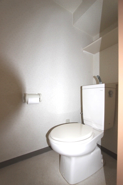 トイレ　同物件、別号室のものです。