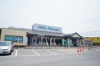 ドラックストア　大賀薬局（ドラッグストア）まで1100m