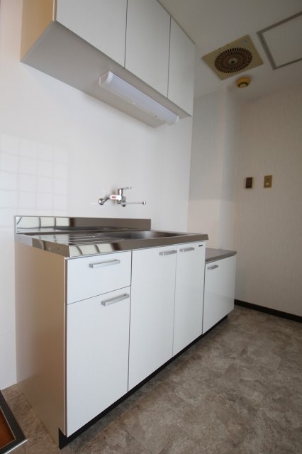 キッチン　同物件、別号室のものです。