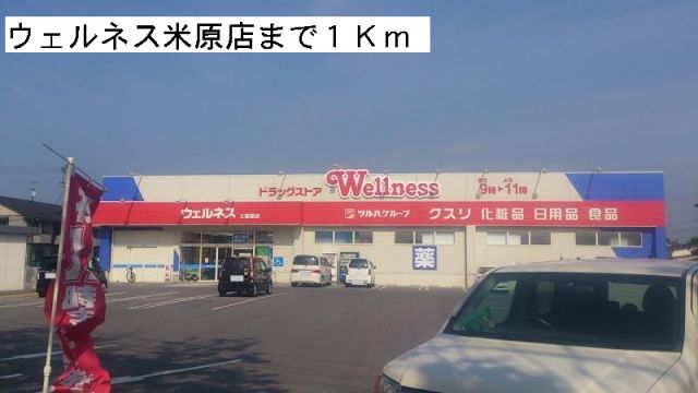 ドラックストア　ウェルネス米原店（ドラッグストア）まで1000m